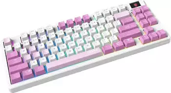 MSI FORGE GK600 TKL Wireless Violet (US) – Mechanische Präzision trifft auf individuelle RGB-Beleuchtung