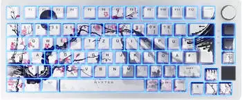 Nyfter Nyfboard HE