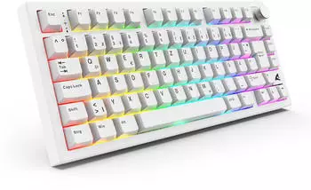 Sharkoon SKILLER SGK55W White
