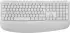 Logitech Signature Comfort Plus Combo MK880 Off White (DE)
