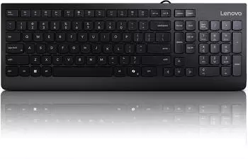 Lenovo 300 USB-Tastatur, kabelgebunden, DE-Layout (GX30M39669)