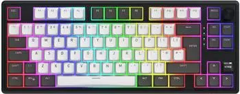 Hator Skyfall 80 Pro Wireless mechanische Gaming-Tastatur 80% Silent Switches RGB (HTK4180EU)