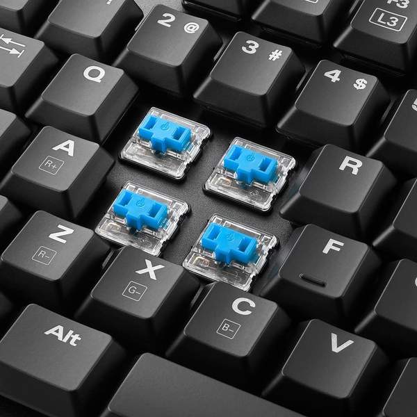 Kabel Tastatur Ausstattung & Bewertungen Sharkoon PureWriter TKL RGB (Kailh Blau)(DE)