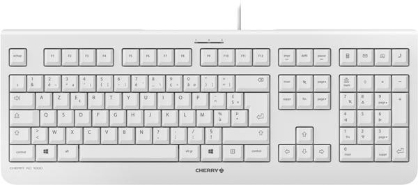 CHERRY KC 1000 (white-grey)(US)