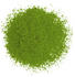 tea exclusive Bio Matcha for Cooking (100g)