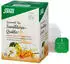 Salus Sanddorn Quitte Gourmet Tee 15 Beutel