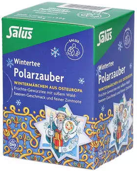 Salus Polarzauber Fr&uuml;chte-Gew&uuml;rztee Bio 15 Beutel 30g
