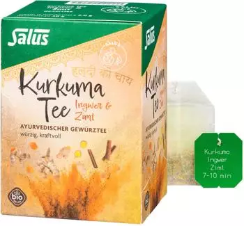 Salus Kurkuma Tee Ingwer & Zimt Bio 15 Beutel
