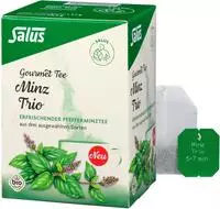 Minz Trio Gourmet Tee Bio Salus Filterbeutel 15 St