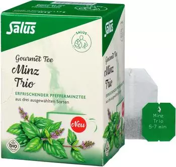 Salus Gourmet Tee Minz Trio Bio 15 Beutel