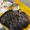Schwarzer Tee Earl Grey Tea - klassischer Schwarztee lose mit Bergamotte Aroma