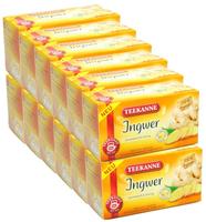 Teekanne Ingwer 12er Pack