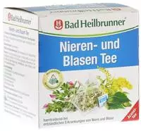 BAD Heilbrunner Nieren- und Blasen Tee t 10X1,2 g