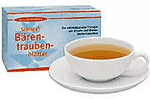 Sidroga Bärentraubenblätter (20 Stk.)