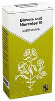 NESTMANN Pharma GmbH Blasen Und Nierentee Vi