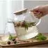 Relaxdays Teekanne aus Borosilikatglas mit Bambusdeckel und Sieb (10053212_8748)