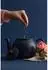 Price & Kensington Teekanne mit Teesieb, blau, 1,1L (0218.159)