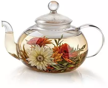 Dimono Teekanne aus Borosilikatglas mit Teesieb, 600ml (70051031)