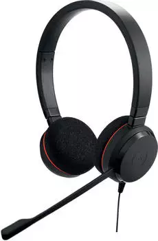 Jabra Evolve 20 USB-C MS Stereo