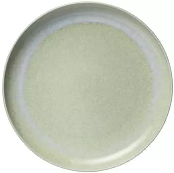 Villeroy & Boch like Perlemor Alga Speiseteller 27cm