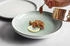 Seltmann Weiden Weiden Sento Home Speiseteller ø 27,6 cm 6er Set Aura mint