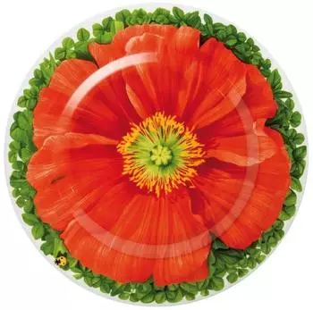 Taitù Prati Italiani Teller flach 21,5 cm, Blume rot