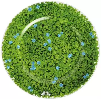 Taitù Prati Italiani Teller flach 31 cm, Blume blau