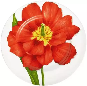Taitù Freedom Teller flach 27 cm, rot