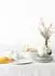 Seltmann Weiden Liberty Meadow Grasses Brotteller ø 17,5 cm 6er Set