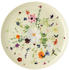 Rosenthal Brillance Bone China Grand Air