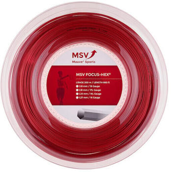 MSV France Focus Hex silber 12m Set 1.18