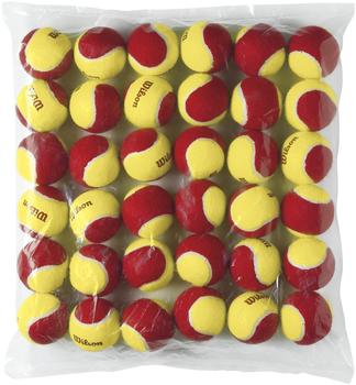 Wilson Starter Red (36 Balls)
