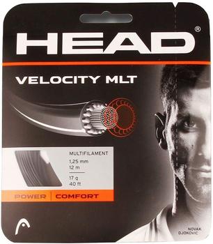 Head Velocity MLT 12m