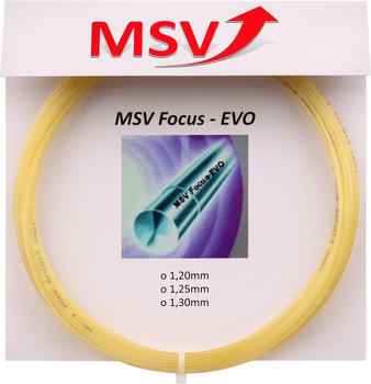 MSV Mauve Sport Focus Evo 12 m