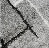 Teppich-Traum Teppich