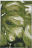 Tom Tailor Garden Palm green multi 305 (160x230cm)