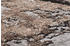 OCI Die Teppichmarke Teppich SPACE (200x250 cm) Braun-beige
