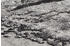 OCI Die Teppichmarke Teppich SPACE (200x250 cm) Grau-mix
