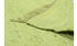 Theko Teppich HAPPY COTTON grün (BT 120x180 cm) grün