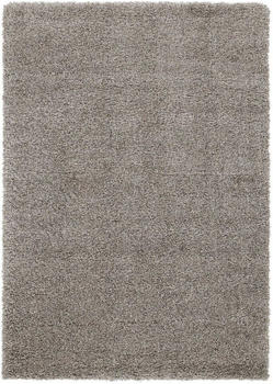 OCI Die Teppichmarke Teppich PHOENIX grau (LB 65x130 cm) grau