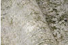 Teppich 300 cm