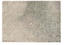 OCI Die Teppichmarke Teppich BUTTERFLY ADMIRAL (200x250 cm) grün