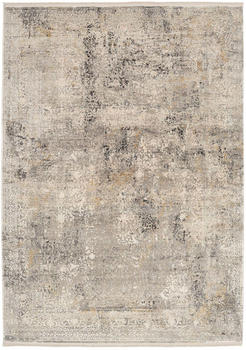OCI Die Teppichmarke Teppich LOTUS (160x230 cm) Grau-mix