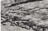 OCI Die Teppichmarke Teppich SPACE Life (140x200 cm) Grau-mix