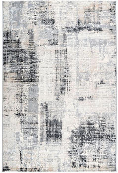 Obsession My Salsa Wohnteppich grey 1 160x230 cm (sas690grey160230)