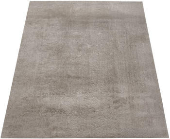 Paco Home Kurzflor Waschbar Weich Modernes Einfarbiges Muster 300x400 cm