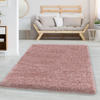 CarpetSale24 Teppich
