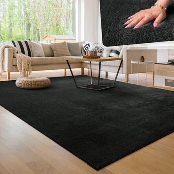 Paco Home Kurzflor Modernes Unies Muster 300x400 cm