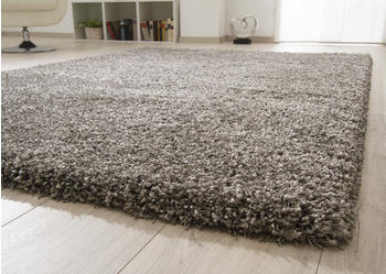 Ragolle Shaggy Hochflor Teppich Twilight Dicker elastischer Flor Grau meliert 9999, 160x230 cm