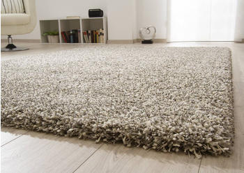 Ragolle Shaggy Hochflor Teppich Twilight Dicker elastischer Flor Silber 6688 meliert 6699, 80x230 cm